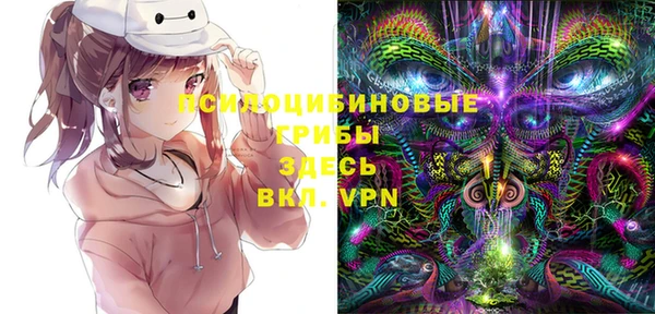 крисы Верхнеуральск